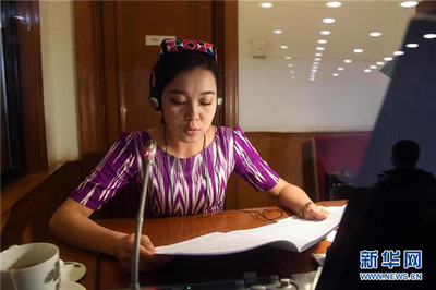 語言橋梁，共商國是——記為兩會服務的民族語文翻譯組